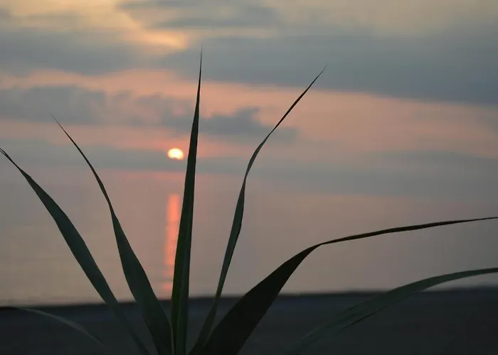 מלון דירות La Dimora Del Molo פוסקאלדו